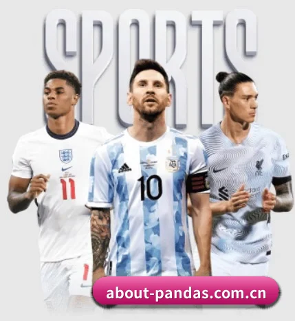 about-pandas.com.cn的故事