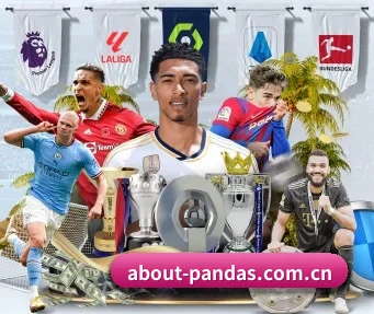 about-pandas.com.cn APP